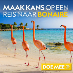 Win een reis naar Bonaire